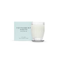 Wild Jasmine and Mint Soy Candle CND60WILD